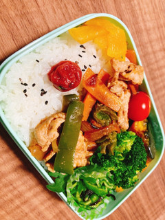 オイスターソースの肉野菜炒め-レシピのメイン写真