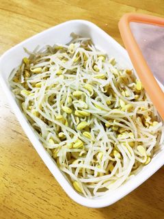 豆もやしのナムル-レシピのメイン写真