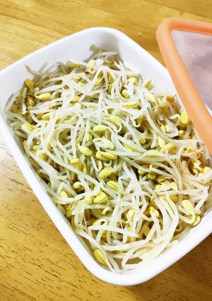 豆もやしのナムル-レシピのメイン写真