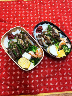 3/30 旦那さんと娘弁当-レシピのメイン写真