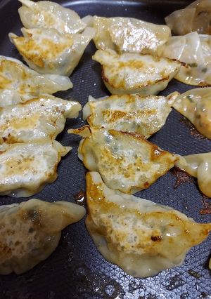 餃子の黄金レシピ⭐-レシピのメイン写真