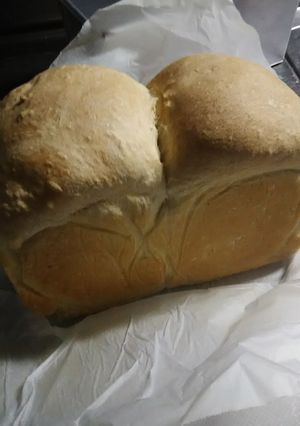 ビニールで手軽に作れる 食パン-レシピのメイン写真