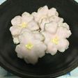 サクサク食感☆桜のチョコクランチ
