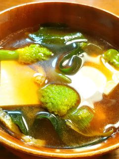 SDGs ねぎ坊主、豆腐、若布のお味噌汁-レシピのメイン写真
