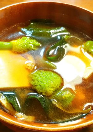 SDGs　ねぎ坊主、豆腐、若布のお味噌汁-レシピのメイン写真