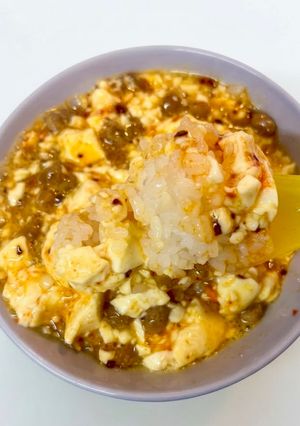 火なし！トリプルたんぱく質のズボラ麻婆丼-レシピのメイン写真