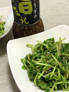 生の豆苗サラダ☆カルディサラダの旨たれ-レシピのメイン写真