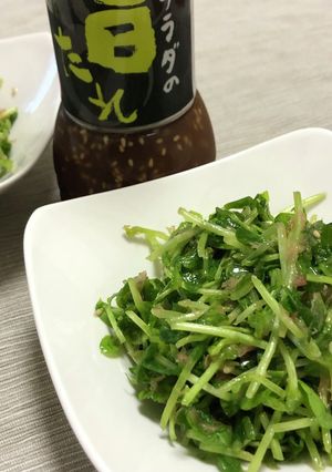 生の豆苗サラダ☆カルディサラダの旨たれ-レシピのメイン写真