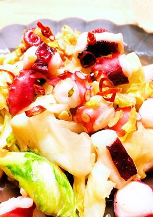 簡単！タコ×キャベツの食べオリ炒め-レシピのメイン写真