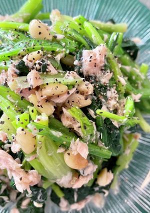 ほうれん草のツナサラダ-レシピのメイン写真