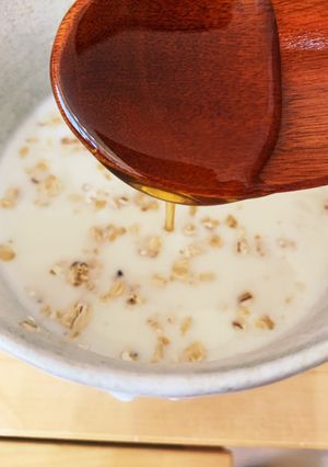 超簡単朝ごはん蜂蜜いりホッとオートミルク-レシピのメイン写真