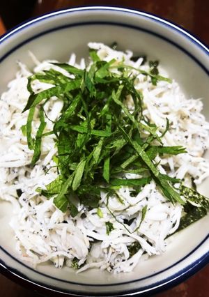 しらす丼-レシピのメイン写真