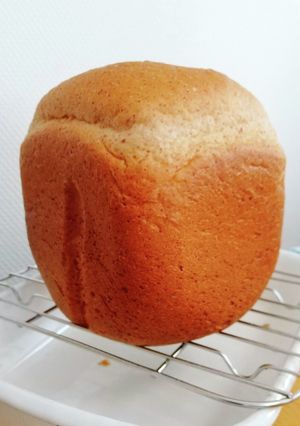 HBで！早焼き★ロースト小麦胚芽食パン-レシピのメイン写真
