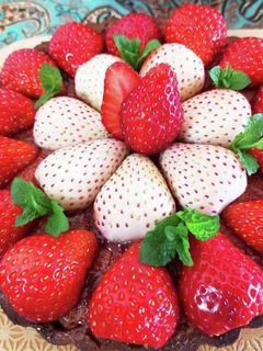 簡単!いちごのタルト♫-レシピのメイン写真