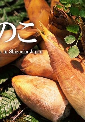 タケノコの下処理YouTubeで動画にて-レシピのメイン写真