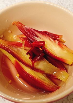 かんたん酢で超簡単♪みょうがの甘酢漬け-レシピのメイン写真
