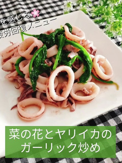 疲労回復!菜の花とイカのガーリック炒め-レシピのメイン写真