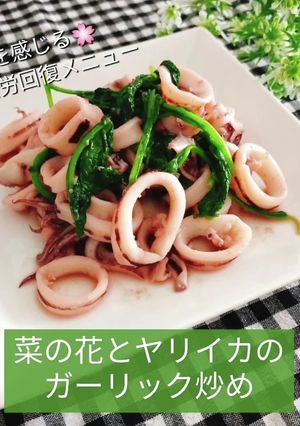 疲労回復！菜の花とイカのガーリック炒め-レシピのメイン写真