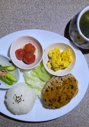 乾物屋の照り焼きハンバーグ 訂正版-レシピのメイン写真