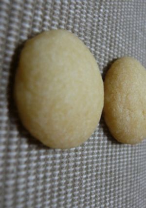 ●ズボラさんの簡単クッキー●-レシピのメイン写真