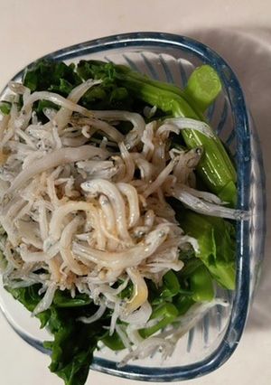 菜の花のおひたし-レシピのメイン写真