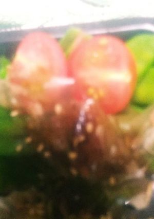 絹さやを鰹節で！-レシピのメイン写真