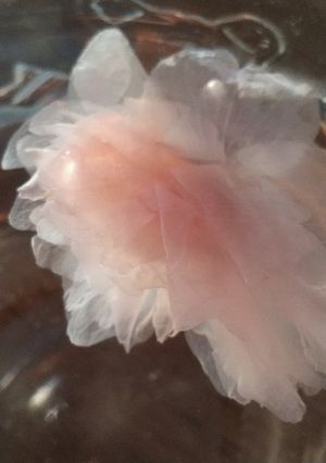 桜茶の入れ方-レシピのメイン写真