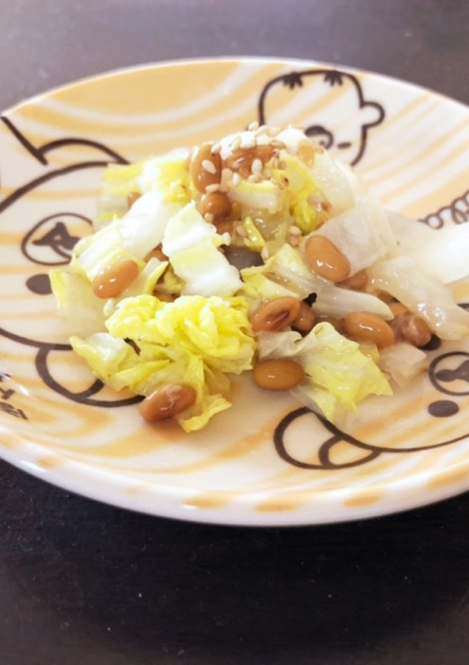 白菜と納豆の和え物-レシピのメイン写真