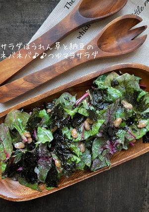 サラダほうれん草と納豆のつゆマヨサラダ-レシピのメイン写真