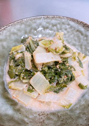 白菜のごまあえ-レシピのメイン写真