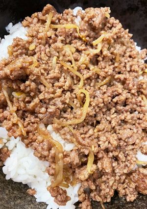 簡単もやしそぼろ丼-レシピのメイン写真