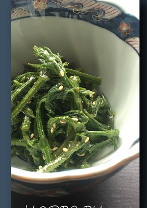 ホップの新芽のナムル-レシピのメイン写真