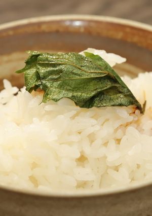 簡単！やみつき！ 大葉のにんにく醤油漬け-レシピのメイン写真