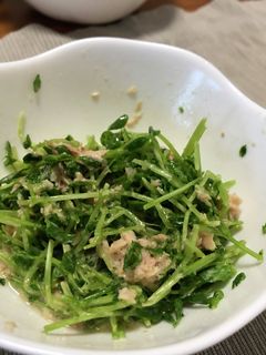 豆苗とシーチキンのサラダ☆あと1品-レシピのメイン写真