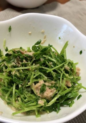 豆苗とシーチキンのサラダ☆あと1品-レシピのメイン写真