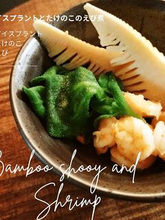 アイスプラントとたけのこのさっと煮-レシピのメイン写真