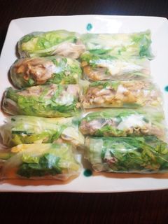 簡単☆焼き肉サラダの生春巻き-レシピのメイン写真