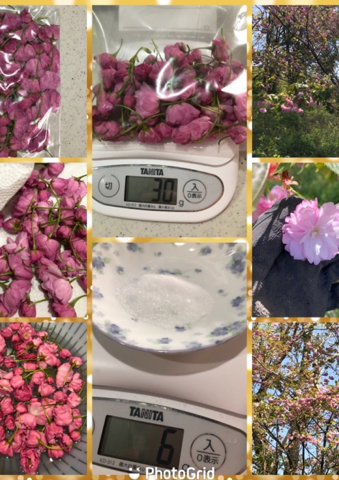 桜の塩漬けNo.1-レシピのメイン写真