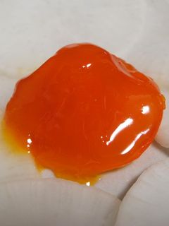 卵の味噌漬け-レシピのメイン写真