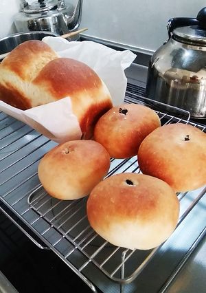 はるゆたかブレンドの食パンとあんぱん-レシピのメイン写真