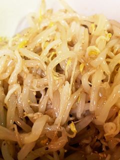 もやしのナムル-レシピのメイン写真