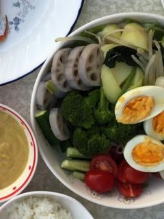 ガドガド風温野菜(インドネシア)-レシピのメイン写真