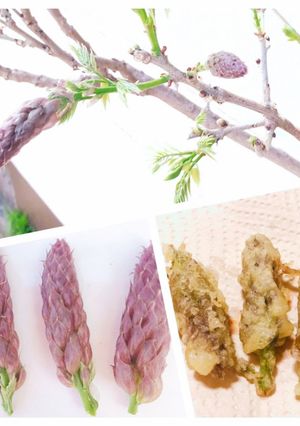 春限定!美味しい野草♪藤の花の天ぷら-レシピのメイン写真