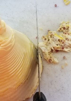 たけのこ下処理-レシピのメイン写真