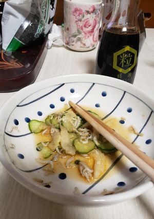 さっぱり味一皿でできる１口副菜-レシピのメイン写真