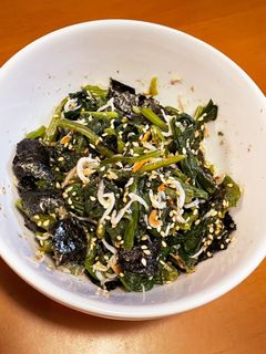 栄養満点〜ほうれん草のお浸し-レシピのメイン写真