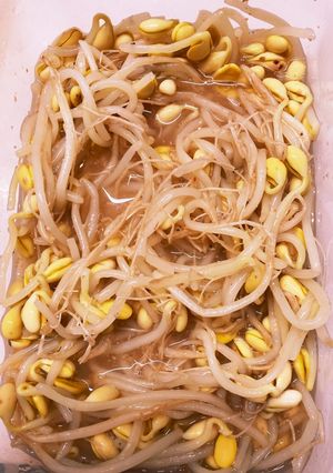 4分でできる超簡単もやしのナムル-レシピのメイン写真