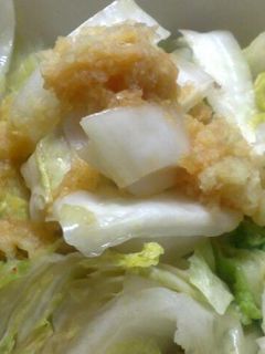 簡単白菜漬物+生姜醤油-レシピのメイン写真