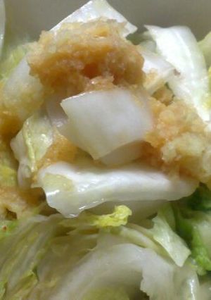 簡単白菜漬物+生姜醤油-レシピのメイン写真