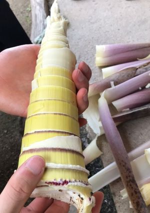 たけのこのあく抜き-レシピのメイン写真